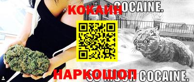 PSILOCYBIN Новодвинск