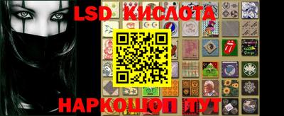 PSILOCYBIN Новодвинск