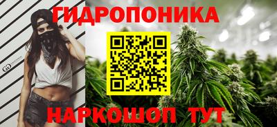 гашик Новозыбков