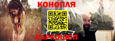 гашик Новозыбков