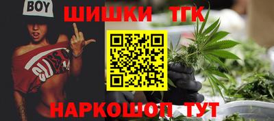 гашик Новозыбков