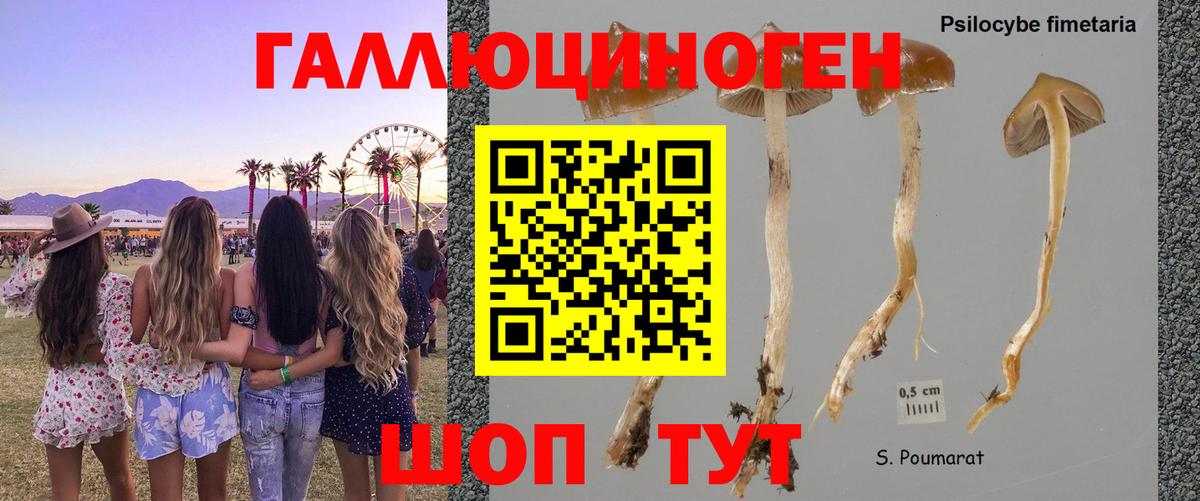 Галлюциногенные грибы GOLDEN TEACHER  Вход с VPN  Энгельс 